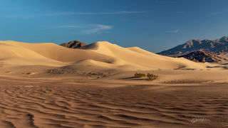 The Base Of The Ibex Dunes