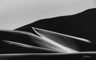 A Petal In The Sand