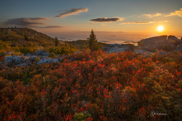 Sun Rise at Dolly Sods  print