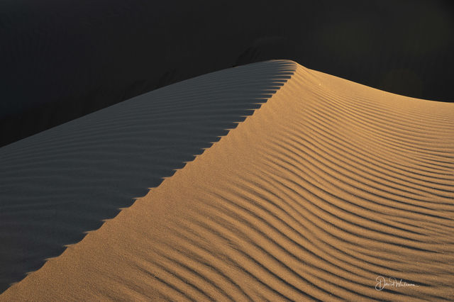 Light To Shadow On The Ibex Dunes print