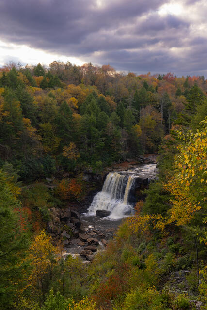 Black Water Falls II print