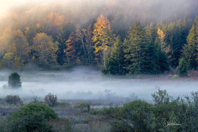 Misty Fall Sunrise print