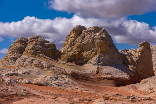 Classic White Pocket print