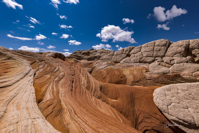 The Curves of White Pocket print