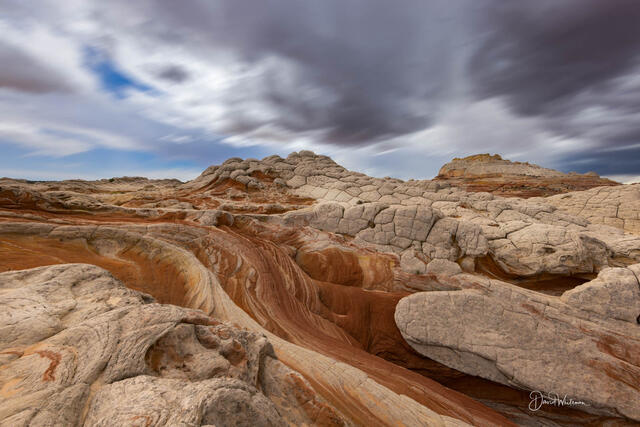 White Pocket Wave print