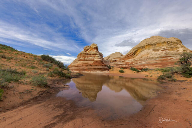 Rare White Pocket Reflection print