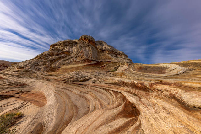 White Pocket Curves print