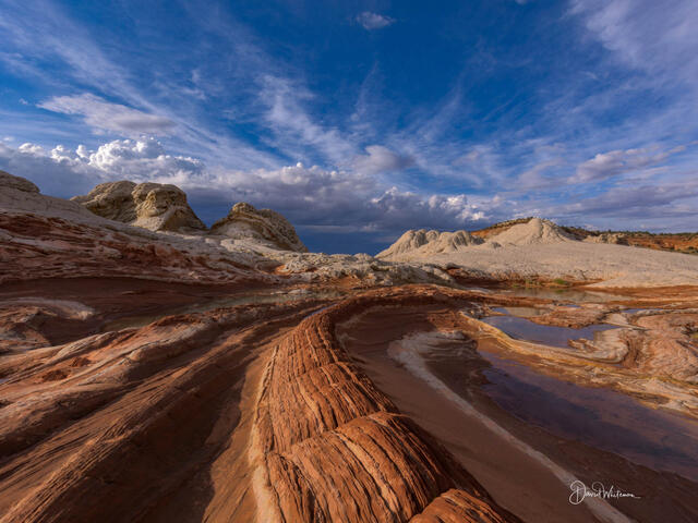 White Pocket Curve II print