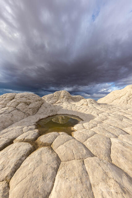 White Pocket Pool print