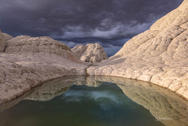 White Pocket Reflection print