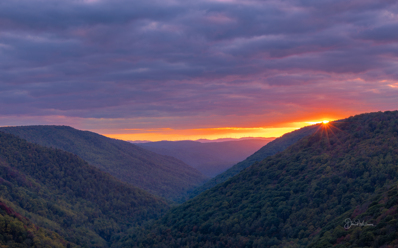Last Light at Lindy Last Light at Lindy