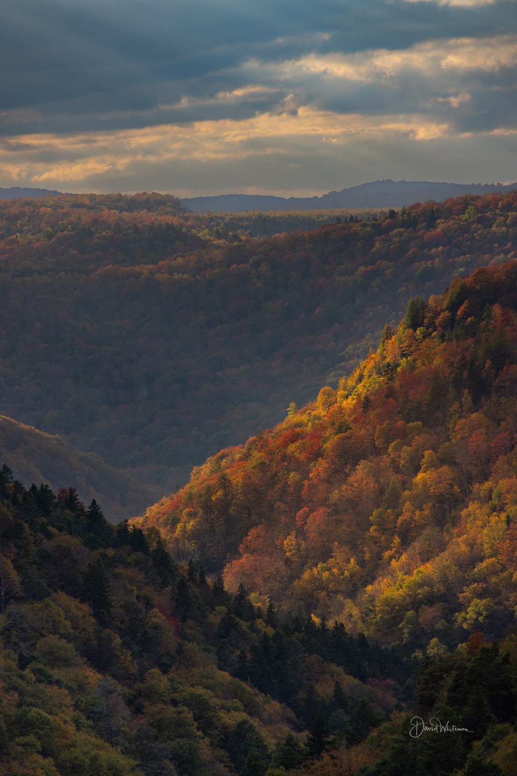 Canyon Color Canyon Color